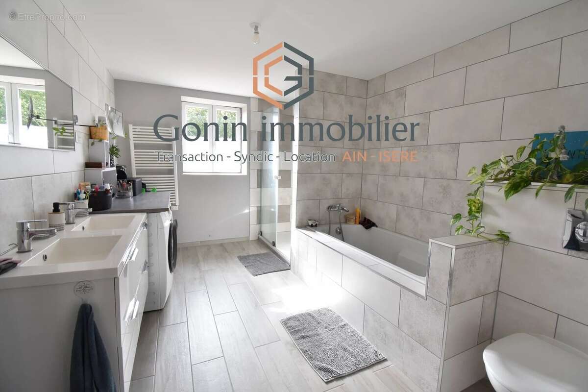 Maison à SAINT-HILAIRE-DE-BRENS