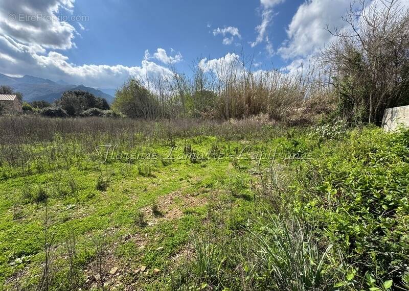 Terrain à SPELONCATO