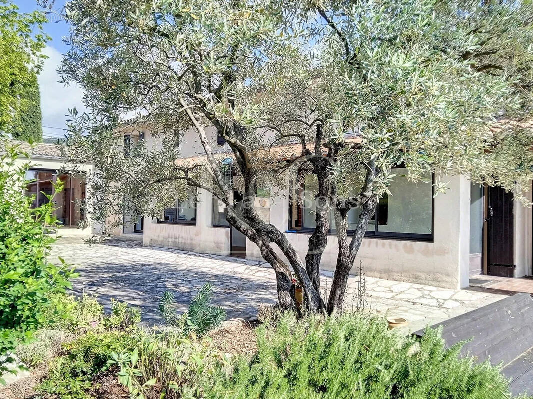 Maison à VAISON-LA-ROMAINE