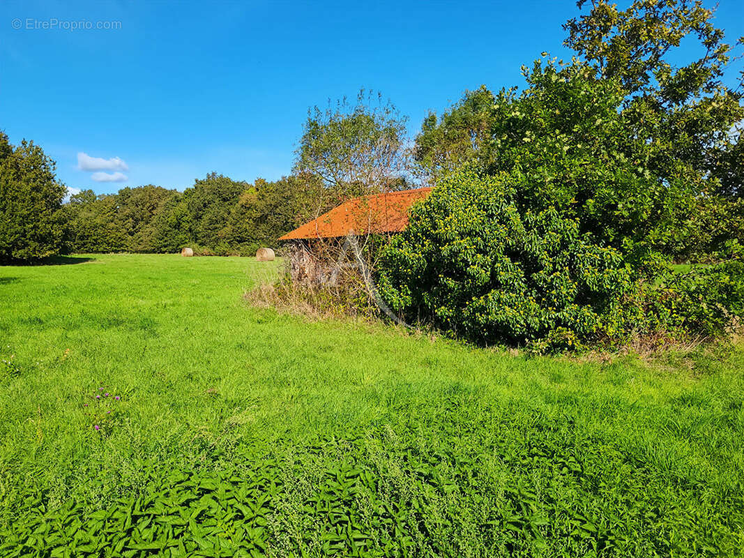 Maison à SALLERTAINE