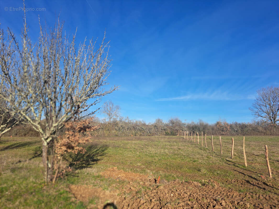 Terrain à PUYLAROQUE