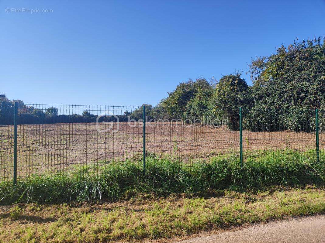 Terrain constructible de 2 514 m² avec grange – Cadre naturel et beau potentiel - photo 2