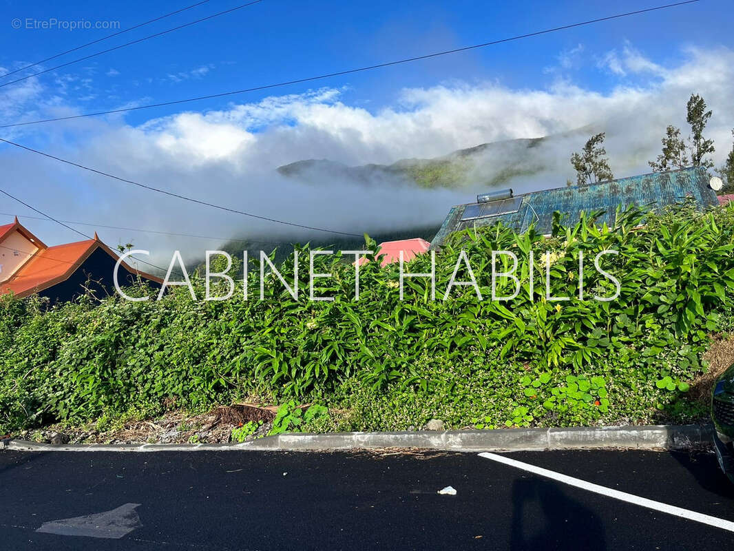 Terrain à LA PLAINE-DES-PALMISTES