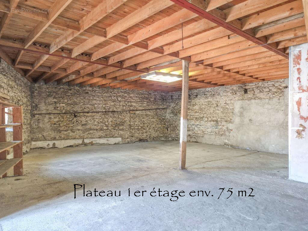 Spécial investissement : T3 80 m2 + 2 plateaux de 75 et 116 m2 - photo 7