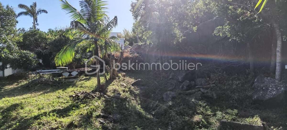 Terrain à SAINT-DENIS