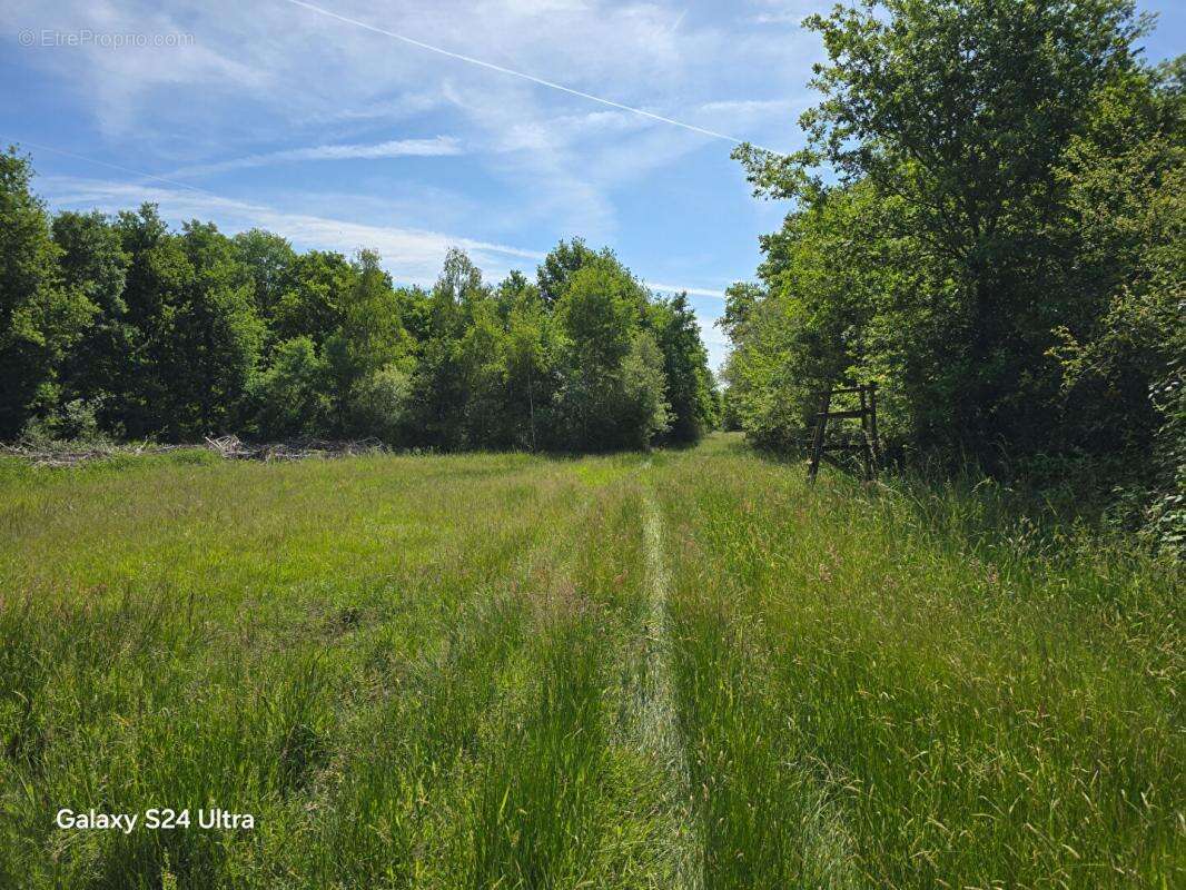 Terrain à MONTEREAU