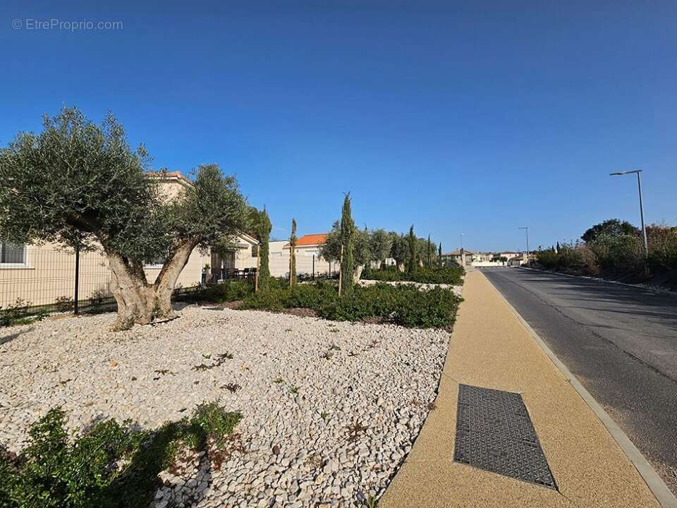 Terrain 425 m² à Montagnac  - photo 5