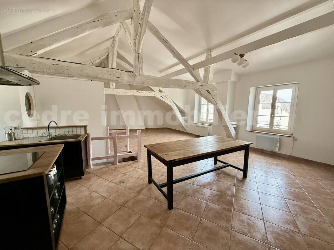 IMG_1078 - Appartement à OLIVET