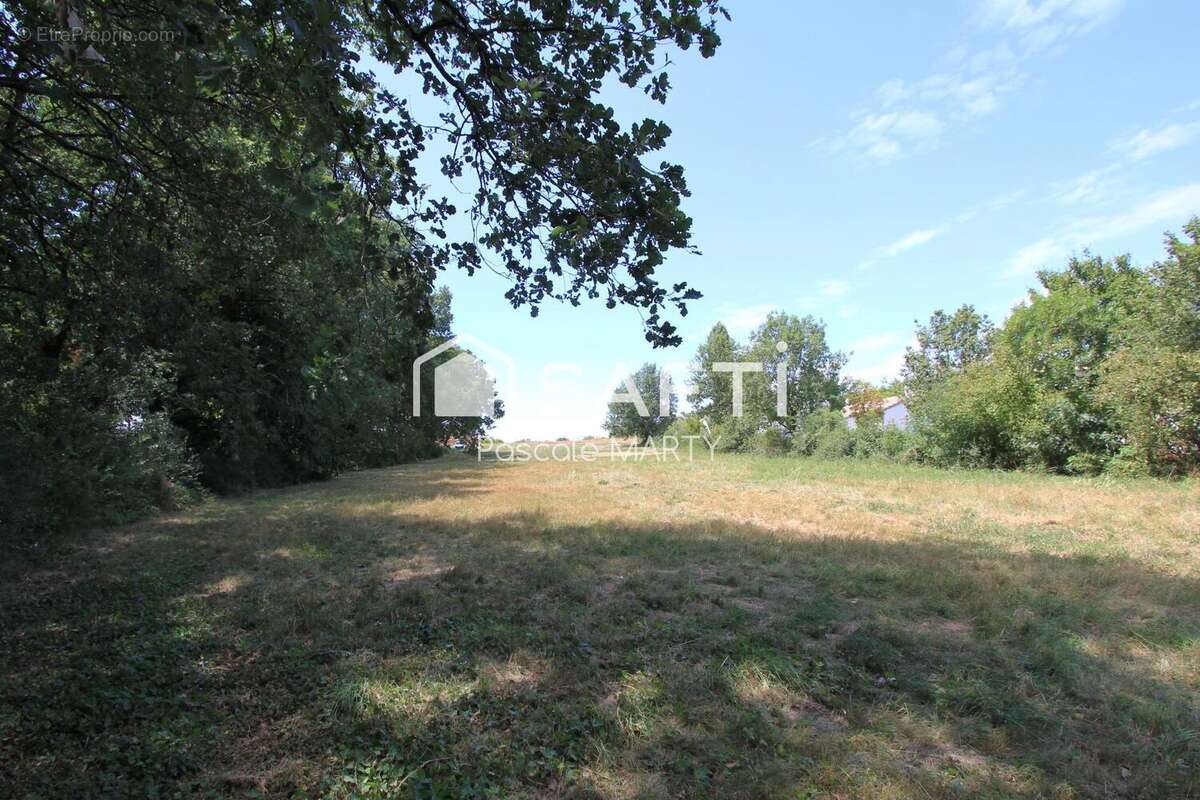 Terrain 1752 m² à Villaudric  - photo 3
