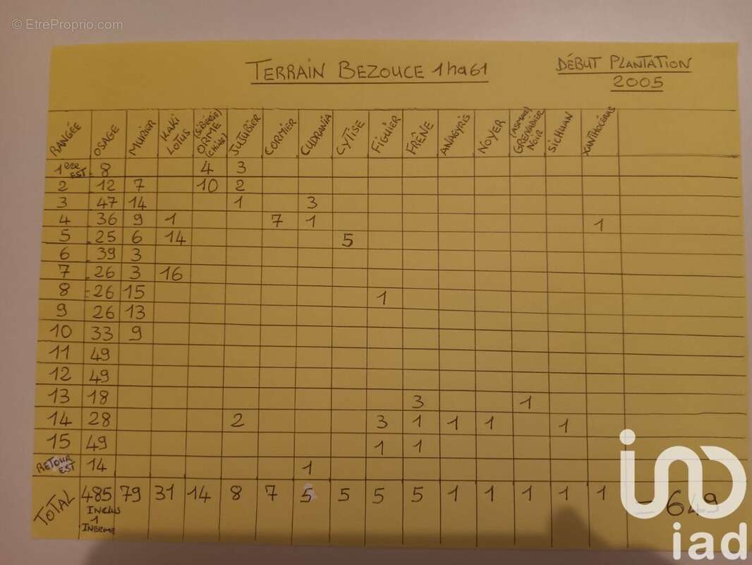 Photo 9 - Terrain à BEZOUCE