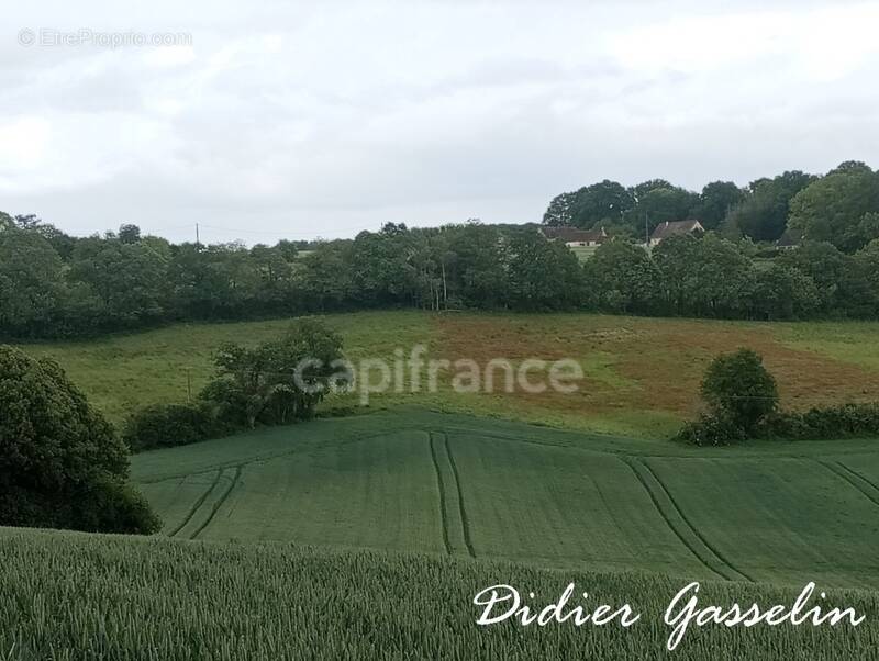 Terrain à BRUNELLES