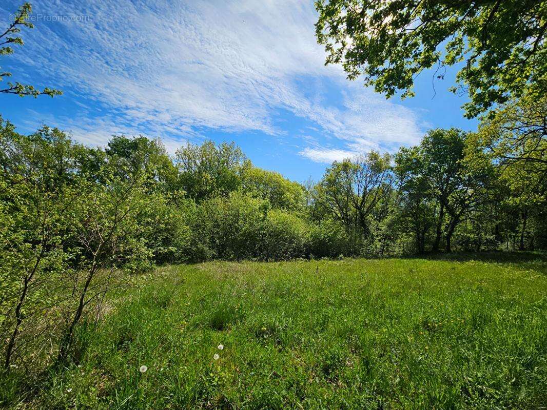 Terrain à BRIVE-LA-GAILLARDE