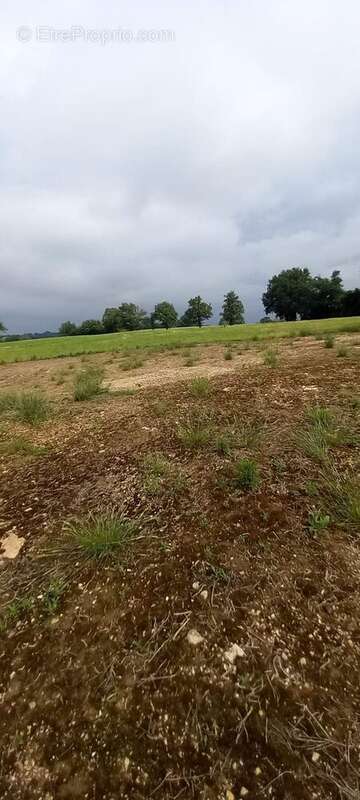 Maison à SAINT-JEAN-SUR-VEYLE