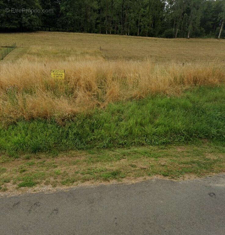 Terrain à SAPOGNE-ET-FEUCHERES