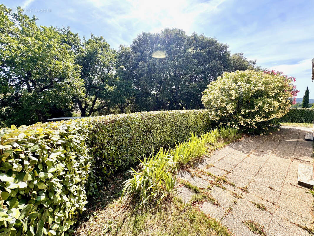 Vaison-la-Romaine   Appartement de plain-pied avec jardin - photo 6