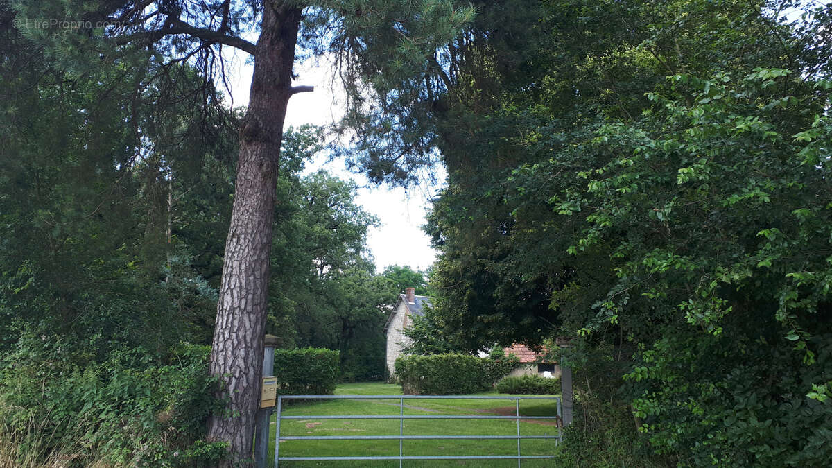 Maison à SAINTE-MAURE-DE-TOURAINE