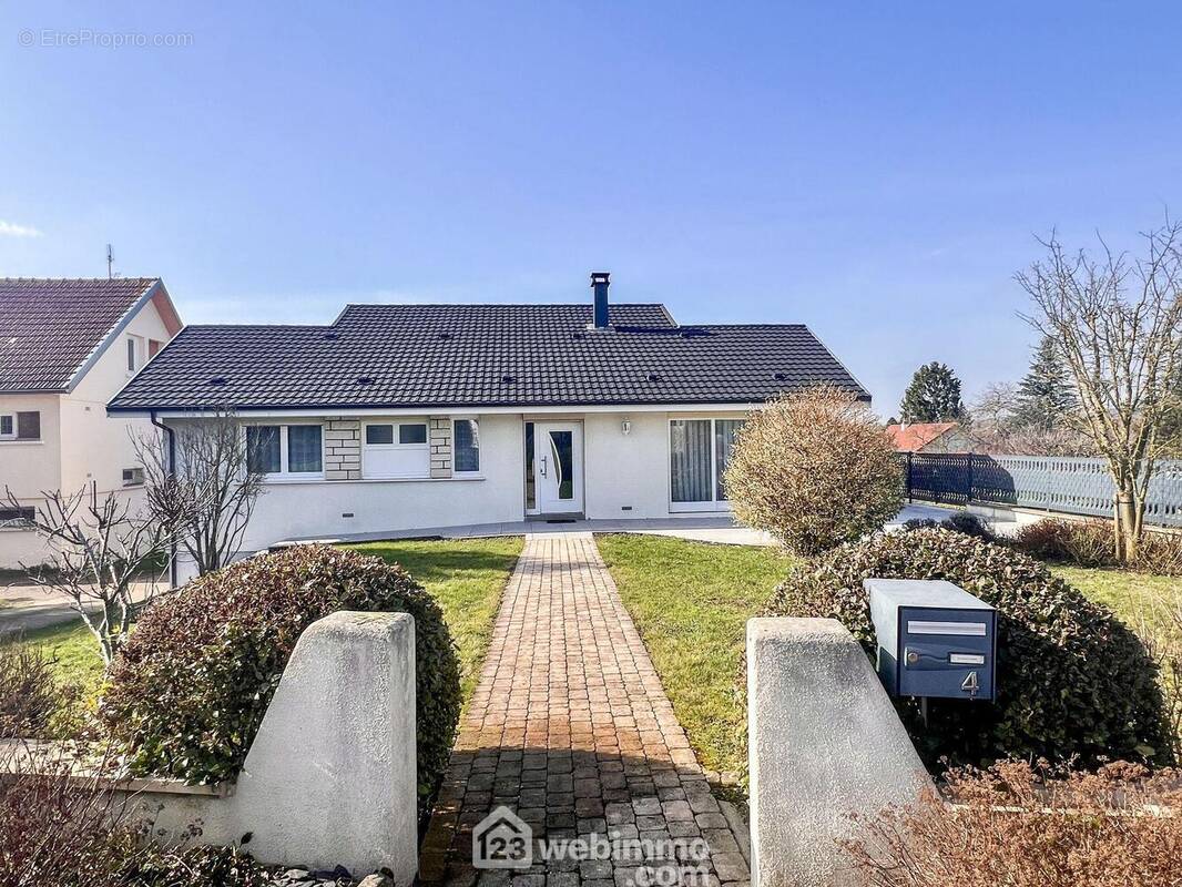 Muret, allée, terrain et cette jolie maison individuelle vue de l'avant - Maison à BRAS-SUR-MEUSE