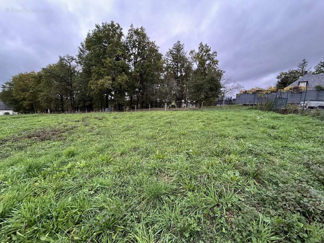 Terrain à DONZENAC