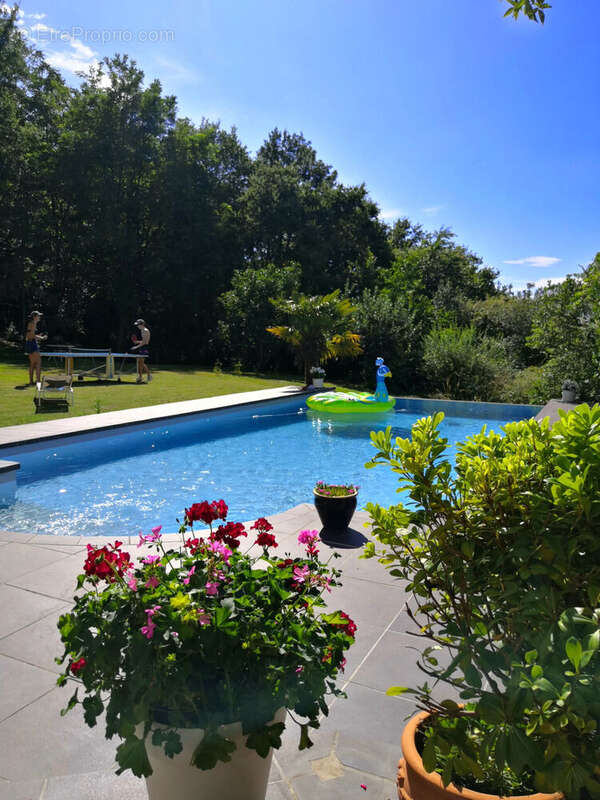 Photo 4 - Maison à CASTELCULIER