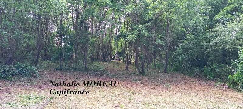 Maison à vendre 8 pièces AUTUN (71) terrain 2 690m2 - photo 6