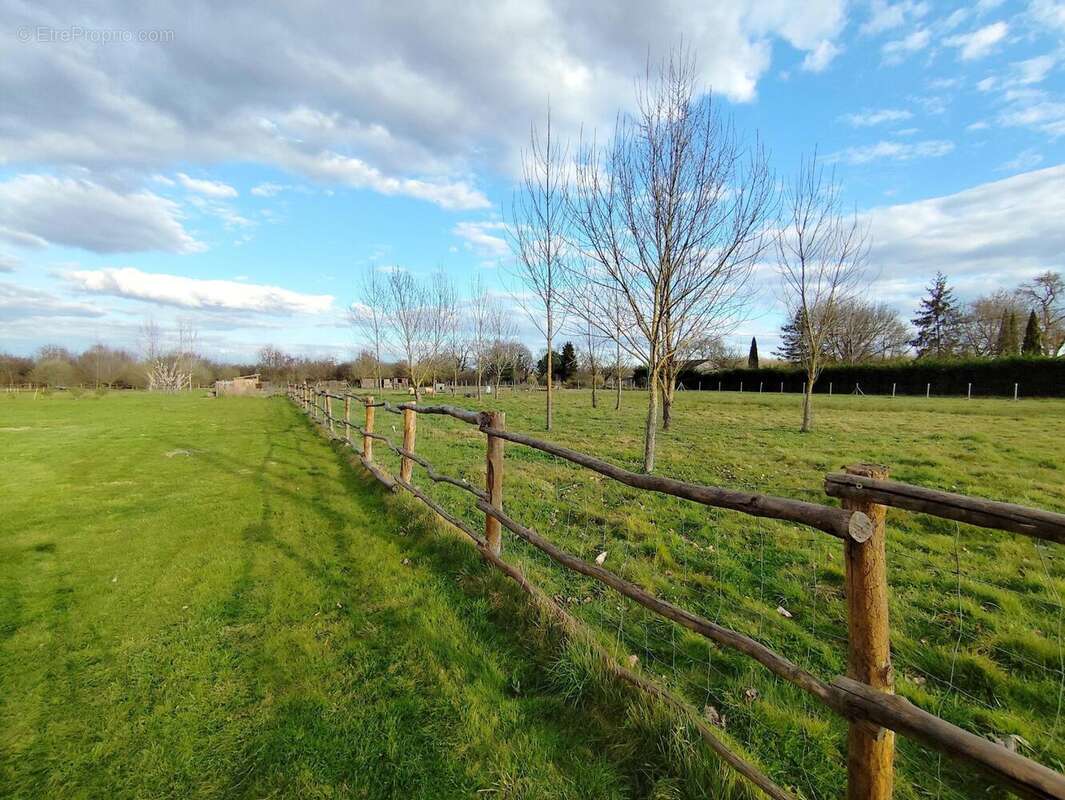 Photo 6 - Maison à LA VILLE-DIEU-DU-TEMPLE