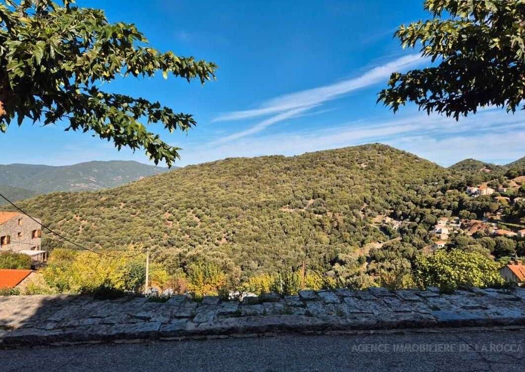 Terrain à SOLLACARO