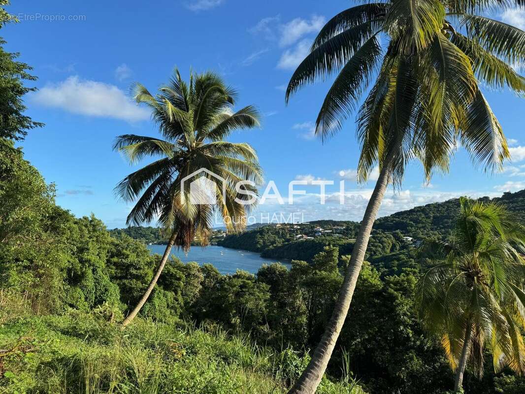 Photo 3 - Maison à LE ROBERT