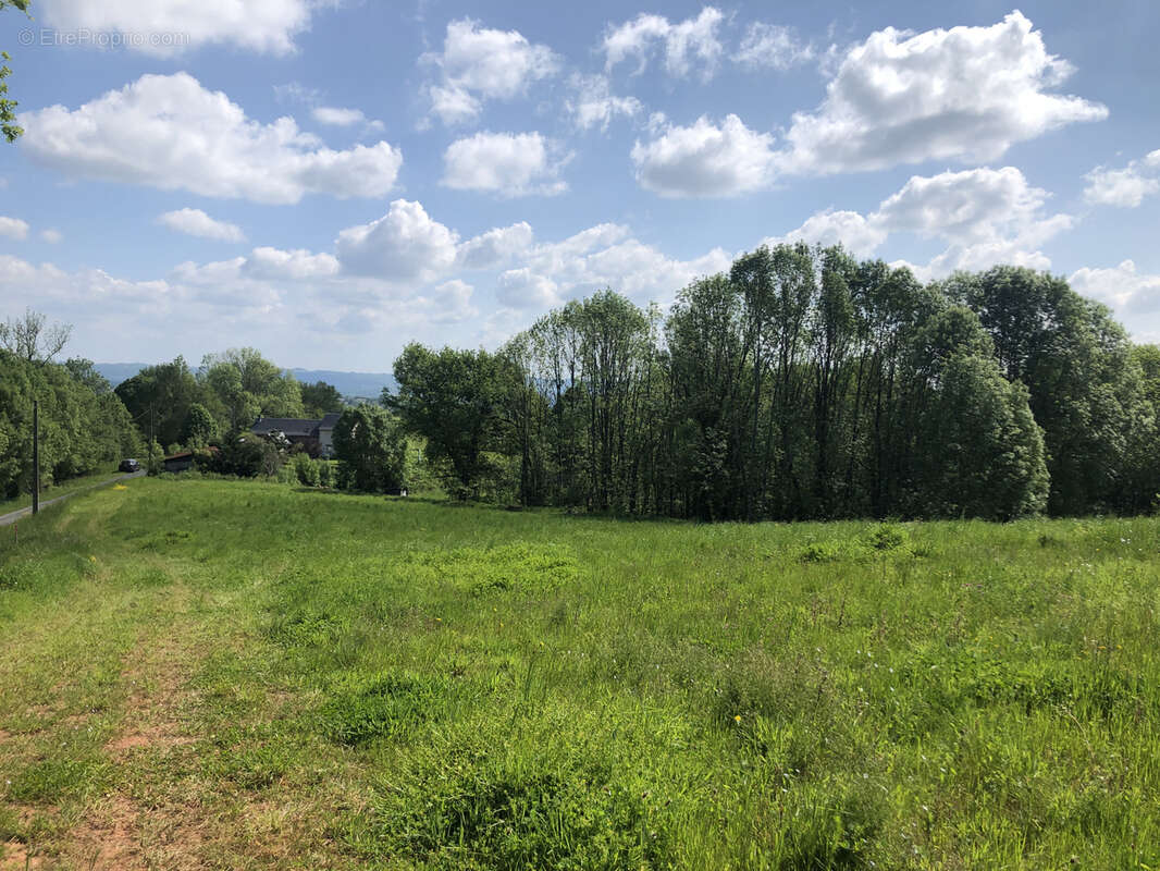 Terrain à SAINT-CYPRIEN