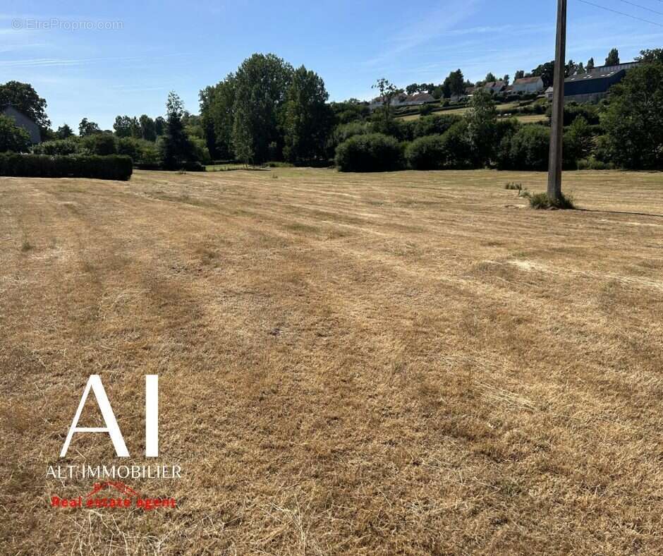 Terrain 11591 m² à Vire  - photo 3