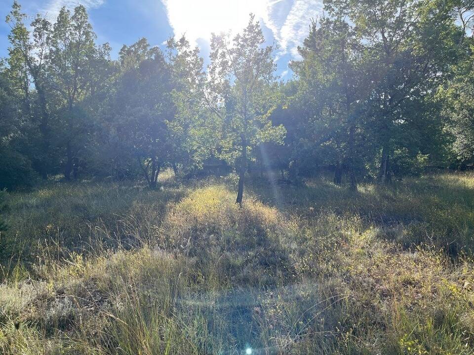 Terrain à ROCBARON