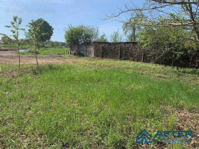 Terrain à LES FORGES