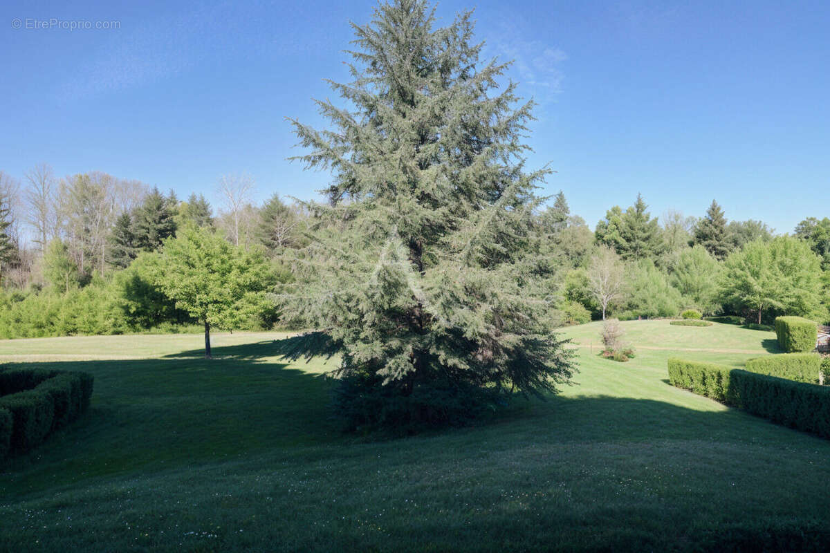 Appartement à MONTEVRAIN