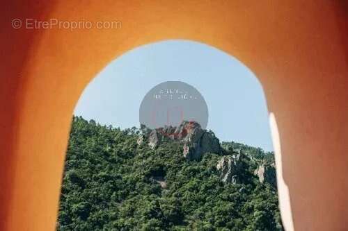 Maison à MANDELIEU-LA-NAPOULE