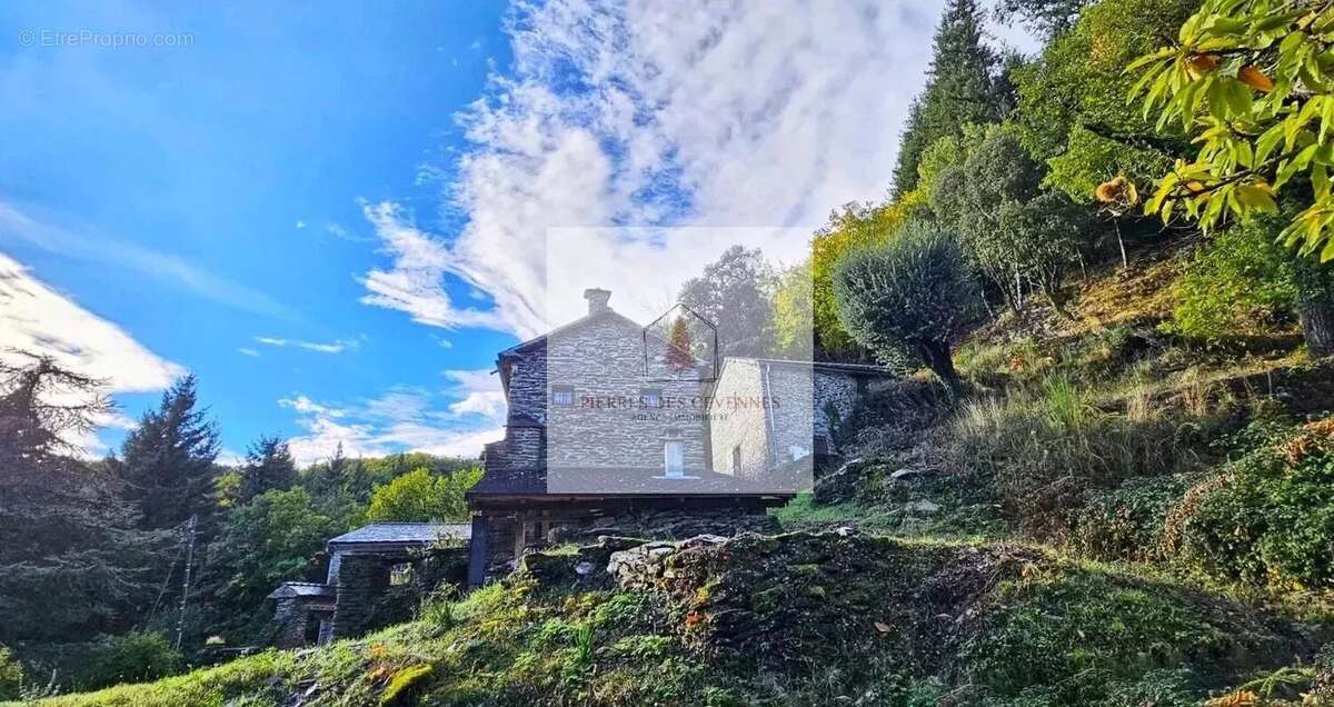 Maison à SAINT-MICHEL-DE-DEZE