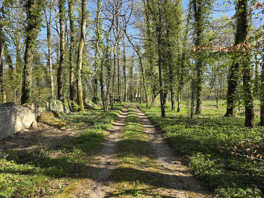 Maison à NEUFCHATEAU