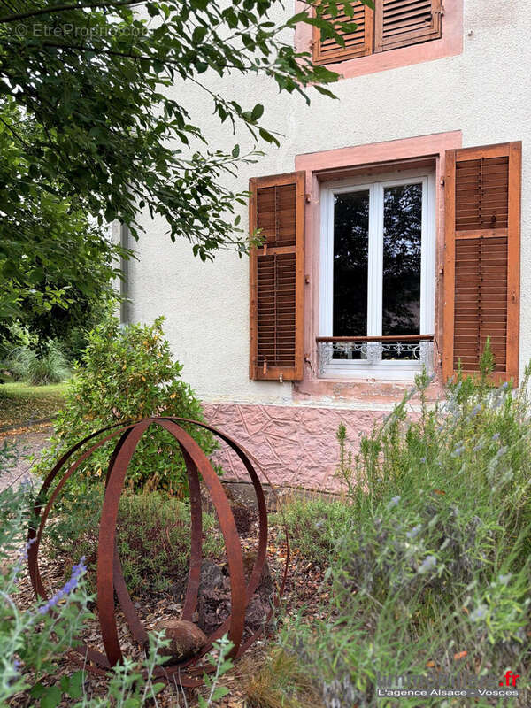 Maison 162 m² à Celles-Sur-Plaine  - photo 3