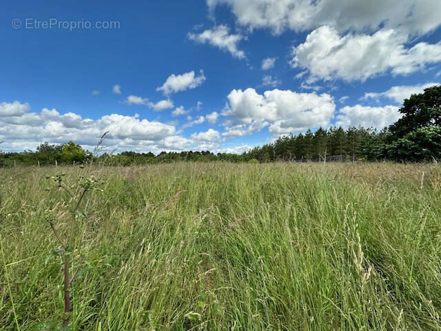 Terrain à MONTGUYON