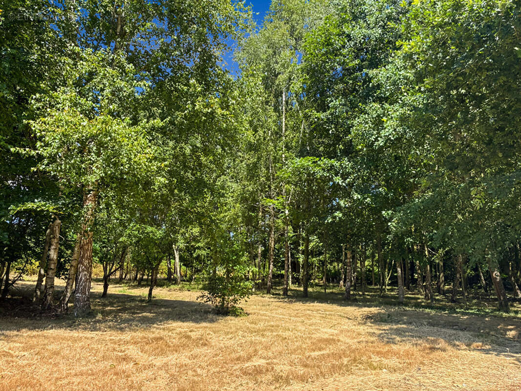 EN EXCLUSIVITÉ - Maison de plain-pied à Feins - 85 m² -Panneaux photovoltaïques, Terrain 7 300 m² , Dépendances - photo 17