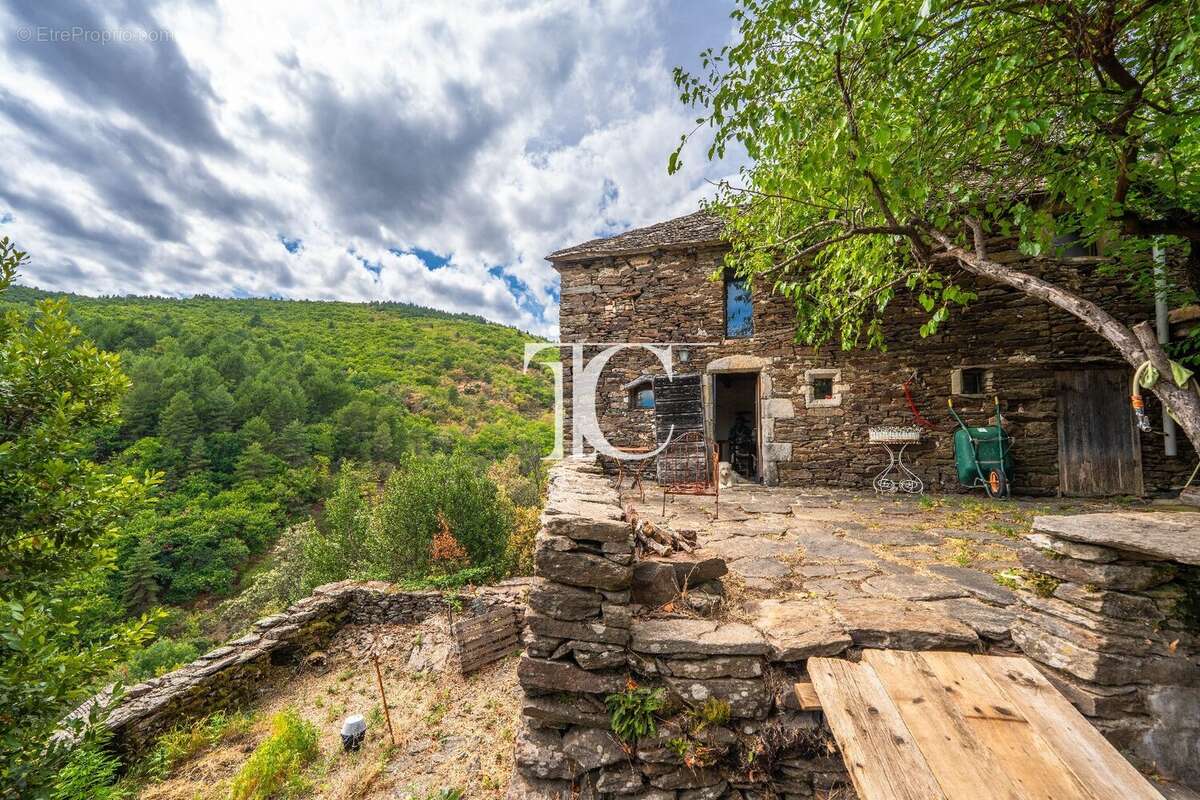 Mas du xviii? à restaurer avec 5 ha de terrain - photo 4