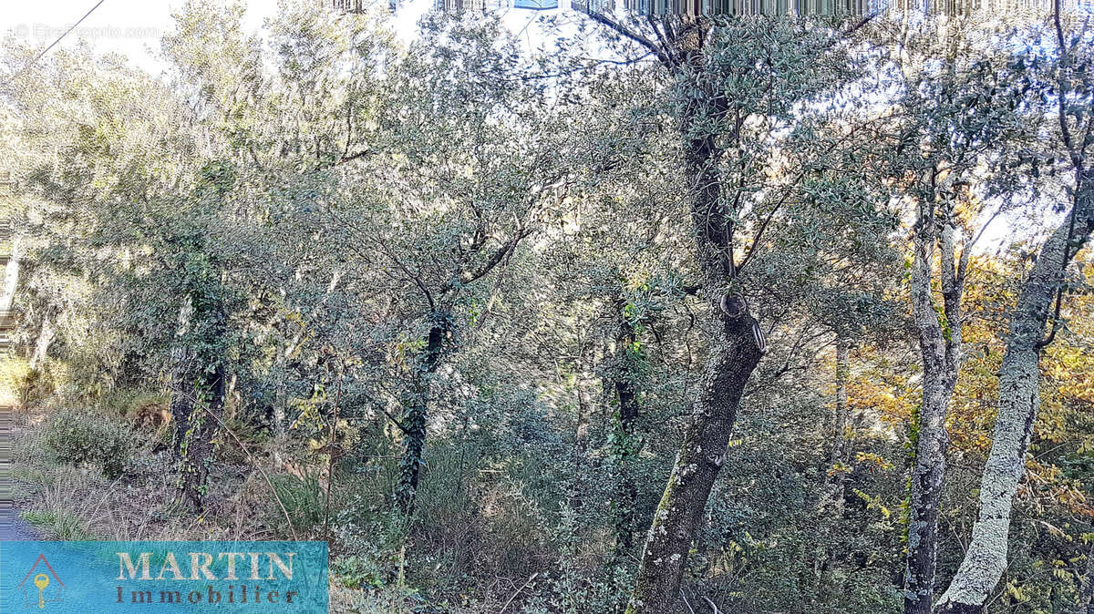 Terrain à TAILLET
