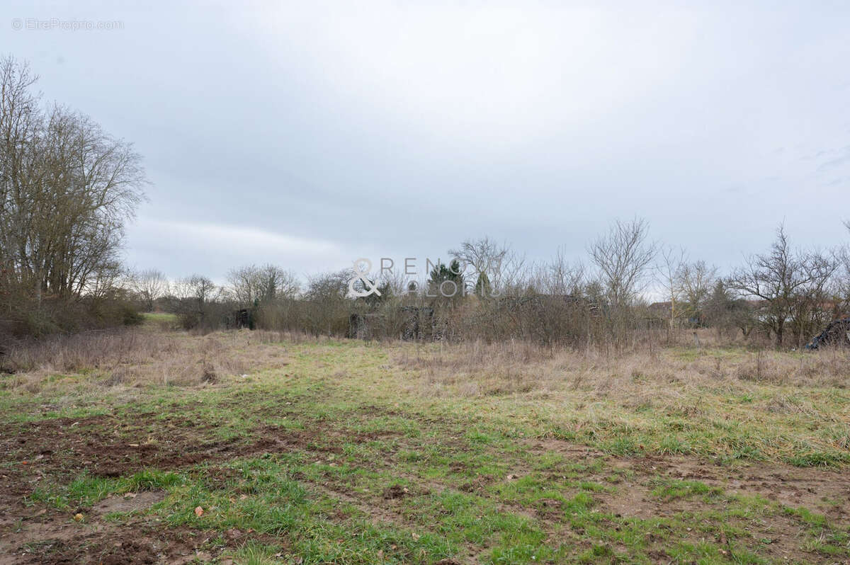Terrain à CHAUDENEY-SUR-MOSELLE