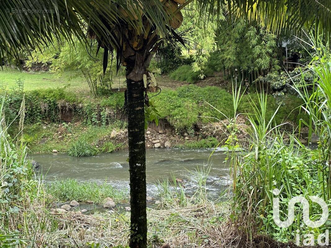 Photo 1 - Autre à GOYAVE