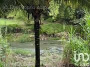 Photo 1 - Autre à GOYAVE