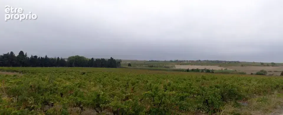Terrain 745 m² à Ventenac-En-Minervois  - photo 2