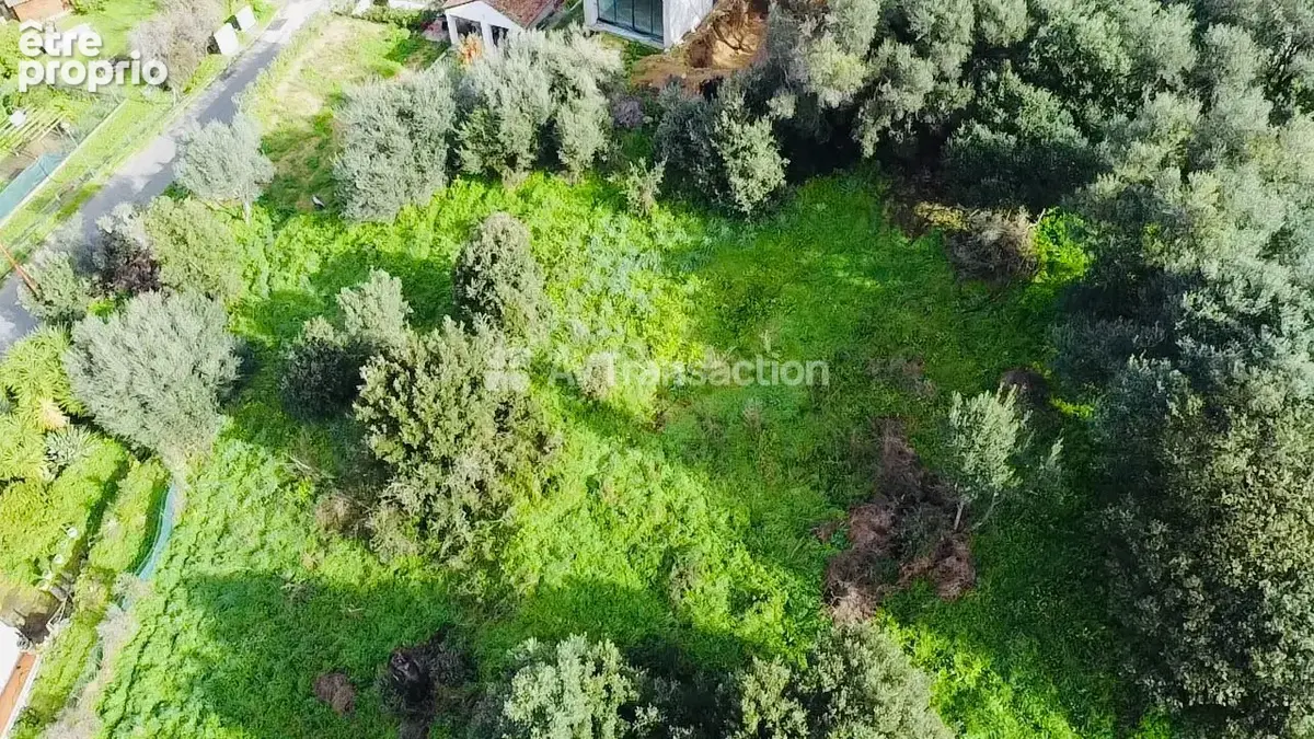 Terrain 1 976 m² à vendre à Bastelicaccia (20129) - photo 7