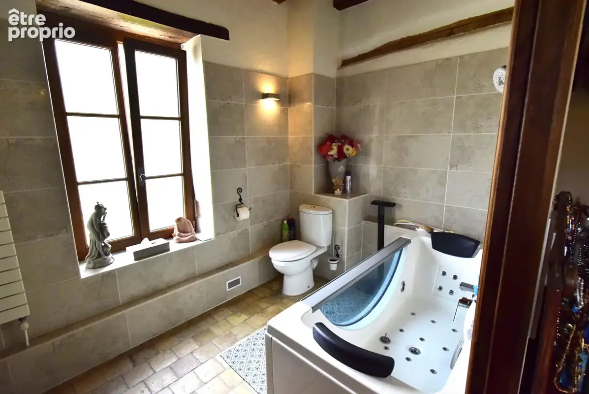 ST MARTIN EN BRESSE, Maison de maître avec 1ha37a de terrain - photo 10