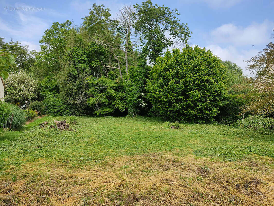Terrain à DANNEMOIS