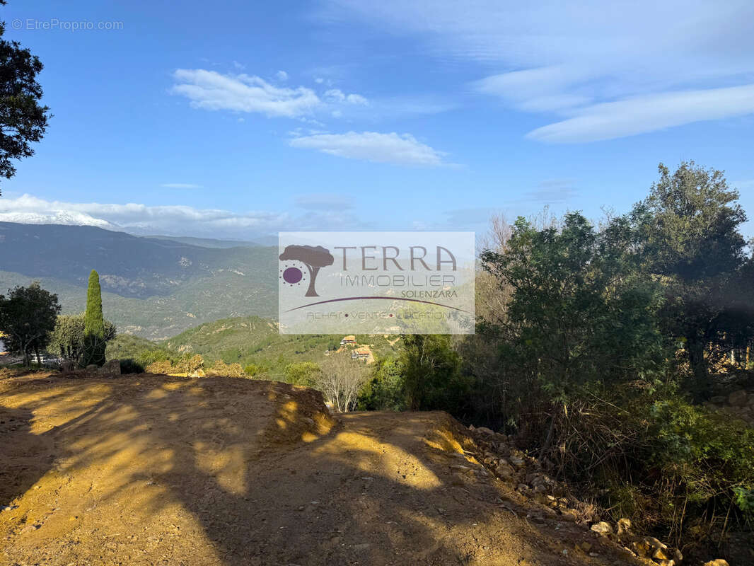 Terrain à SARI-SOLENZARA