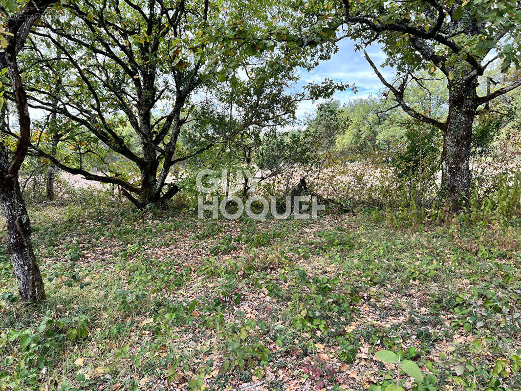 Terrain à FLAUGNAC