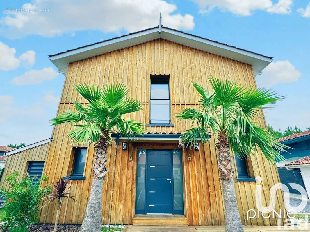 Photo 1 - Maison à SANGUINET